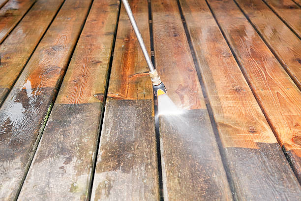 Best Animal Enclosure Cleaning  in Redwood, TX